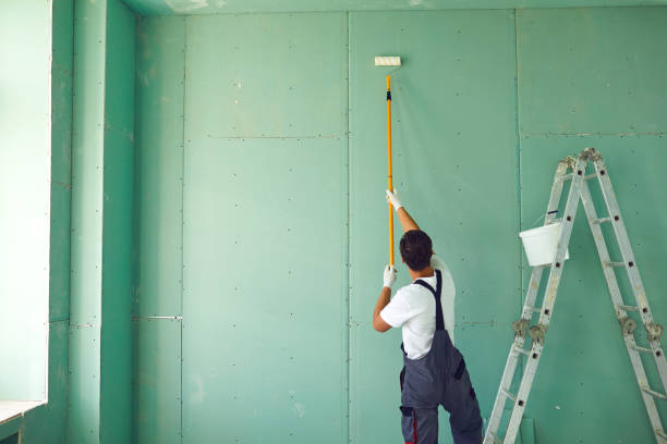 Professional Mold Removal in Daniels Farm, CT